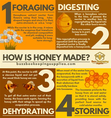 Honey / By Anthony. Bees make honey through the following fascinating 4-step process: Nectar Collection: Forager bees travel to flowers to gather nectar, storing it in their specialized “honey stomachs.”. Nectar Transfer: Once back at the hive, forager bees regurgitate the nectar to house bees, who then process it further.
